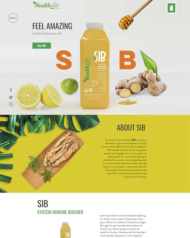 Product website design mockup